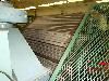  HOLLINGSWORTH 40" Cards, 1973 and 1981 YOC,
